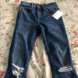 New Joe’s Jeans- Charlie/high rise skinny ankle